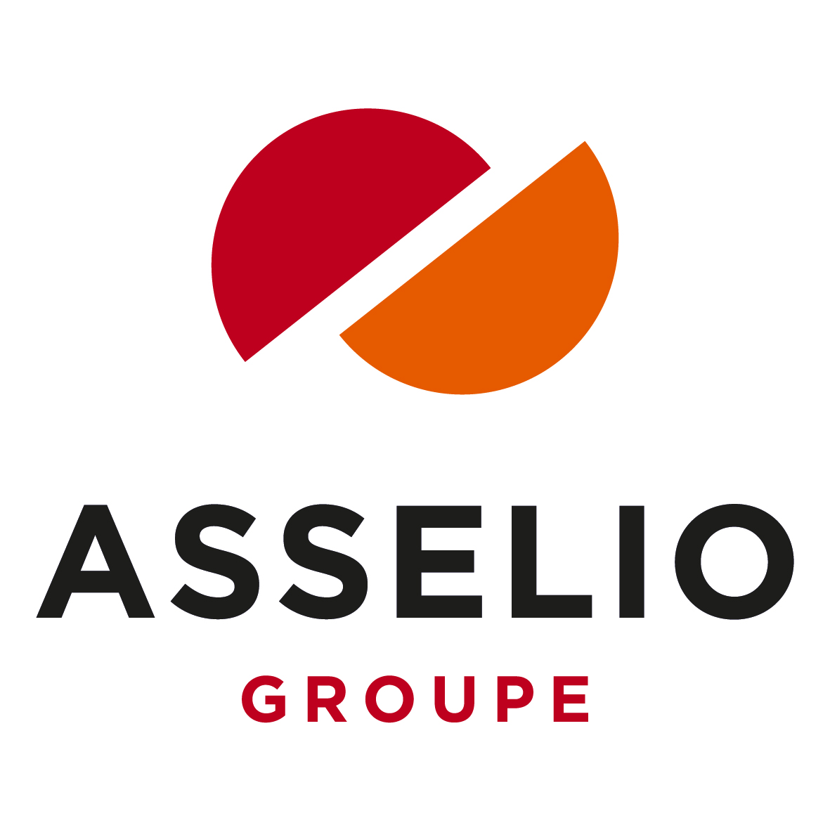 Logo_AsselioGroupe.jpg