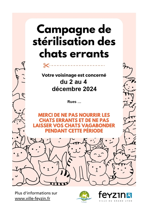 11 Affiche chats